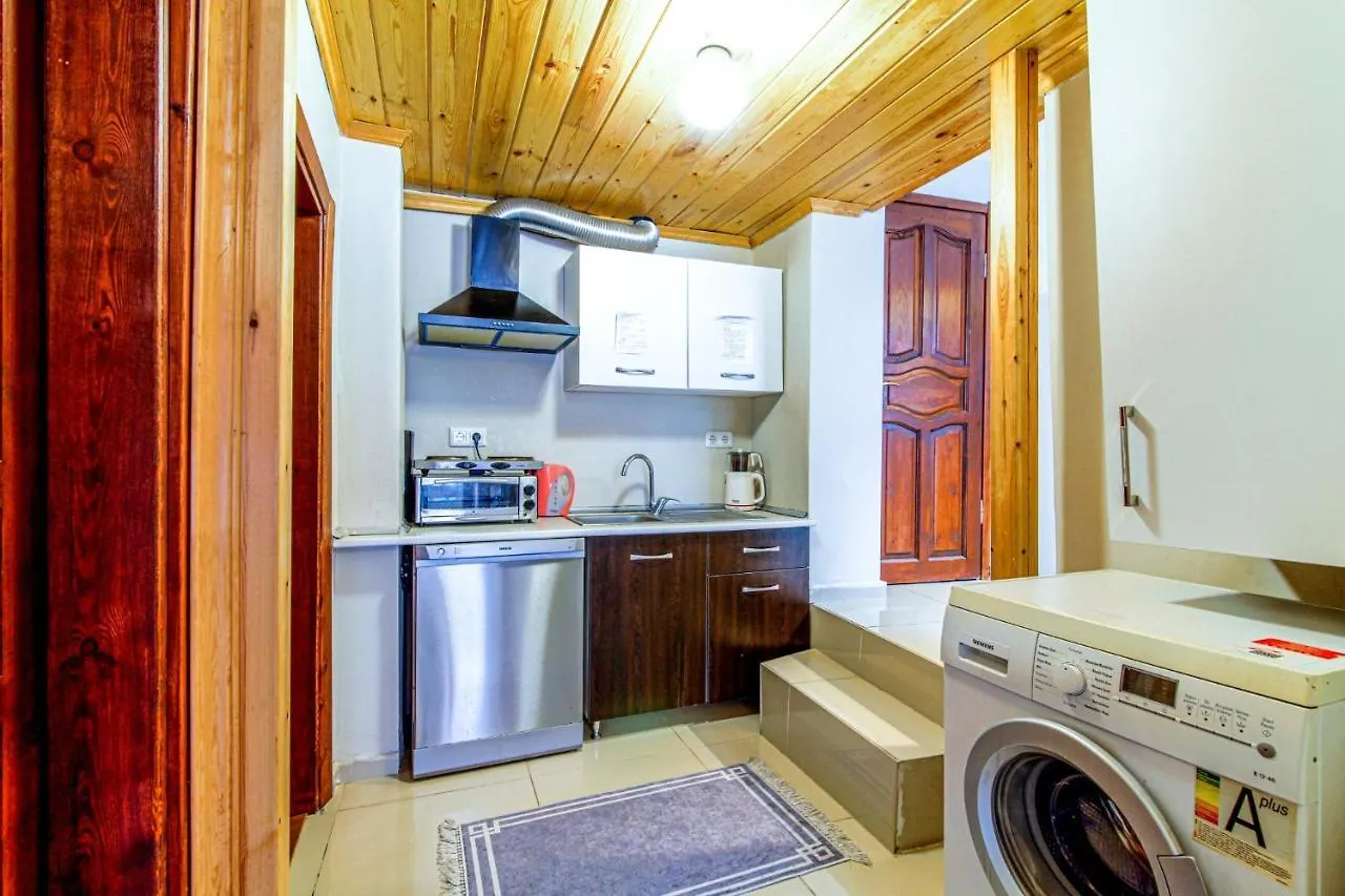 Historical Duplex Villa With Patio In Beyoglu Stambuł Dom wakacyjny